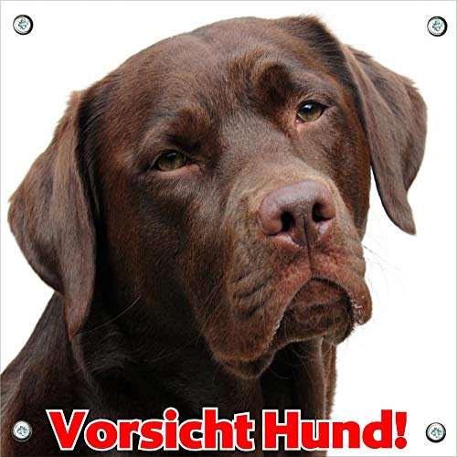 Petsigns Hundeschild - Labrador braun - Achtung Hund - wetterfestes Metallschild, 20 x 20 cm von Petsigns