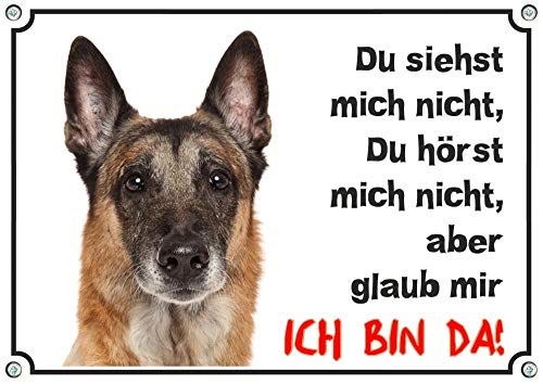 Petsigns Hundeschild Malinois - Belg. Schäferhund uv-beständiges Metallschild in Premiumqualität, DIN A4 von Petsigns
