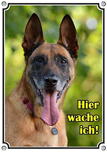 Petsigns Hundeschild - Malinois - Belgischer Schäferhund - stabiles Metallschild 1,5 mm, DIN A3 von Petsigns