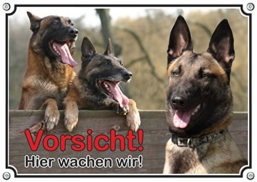 Petsigns Hundeschild - Malinois - Vorsicht! TOP Metallschild als Collage bis DIN A3 bestellbar, DIN A5 von Petsigns