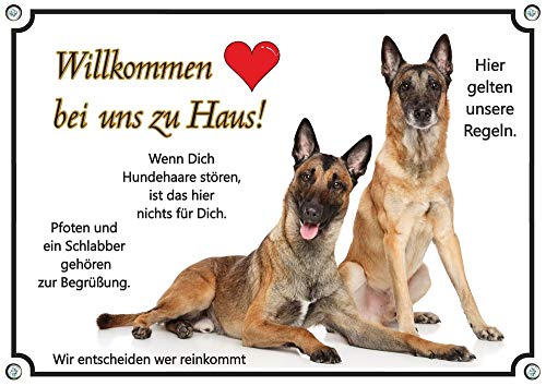 Petsigns Hundeschild Malinois - Willkommen - 2 Hunde Metallschild in TOP Qualität, DIN A4 von Petsigns