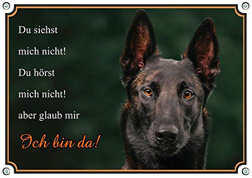 Petsigns Hundeschild - Malinois - belg Schäferhund - Wachhund - uv-beständiges Warnschild, DIN A3 von Petsigns