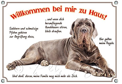 Petsigns Hundeschild Mastino Napoletano - stabiles Metallschild - Willkommen, DIN A3 von Petsigns