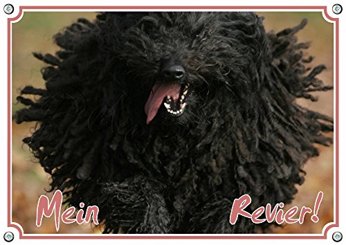 Petsigns Hundeschild - Puli schwarz - massives Metallschild - Ihr TIPP!! bis DIN A3, DIN A4 von Petsigns