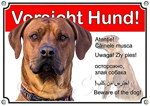 Petsigns Hundeschild - Rhodesian Ridgeback - Metall Warnschild - wetterfest, DIN A3 von Petsigns