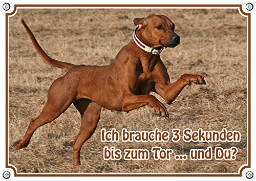 Petsigns Hundeschild - Rhodesian Ridgeback - Metall - wetterbeständiges Warnschild, DIN A5 von Petsigns