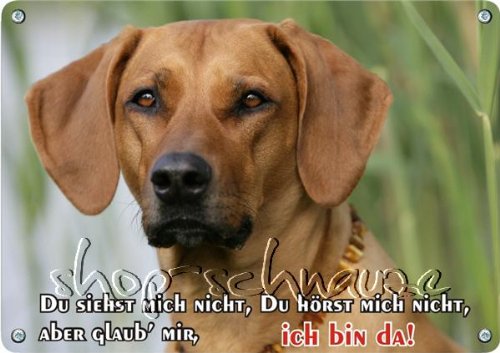 Petsigns Hundeschild - Rhodesian Ridgeback - Metallschild in Fotoqualität, DIN A4 von Petsigns