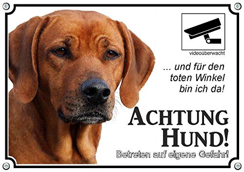 Petsigns Hundeschild Rhodesian Ridgeback RR - Videoüberwacht - uv-beständig, DIN A4 Petsigns Hundeschild Rhodesian Ridgeback RR - Videoüberwacht - uv-beständig, DIN A4 von Petsigns