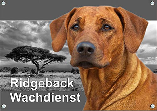 Petsigns Hundeschild Rhodesian Ridgeback RR - Warnschild - uv-beständig, DIN A3 von Petsigns