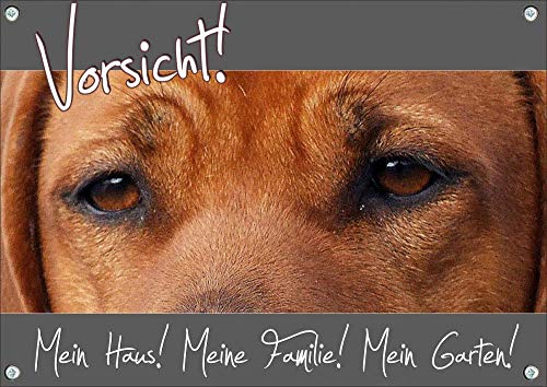 Petsigns Hundeschild - Rhodesian Ridgeback - Vorsicht! - haltbares Metallschild, DIN A5 von Petsigns