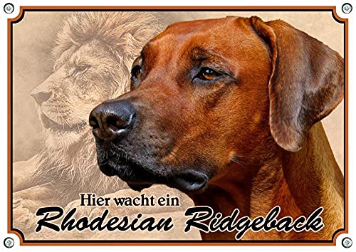 Petsigns Hundeschild Rhodesian Ridgeback - rostfreies uv-beständiges METALLSCHILD, DIN A3 von Petsigns