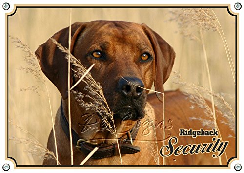 Petsigns Hundeschild - Rhodesian Ridgeback - stabiles METALLSCHILD uv-beständig, DIN A5 von Petsigns