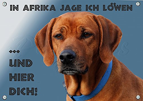 Petsigns Hundeschild Rhodesian Ridgeback - wetterbeständiges Metall Warnschild, DIN A4 von Petsigns