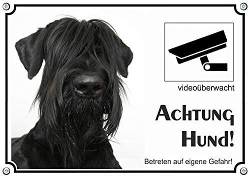 Petsigns Hundeschild Riesenschnauzer - Metallschild mit Videoüberwachung, DIN A4 von Petsigns