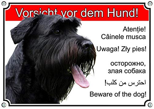 Petsigns Hundeschild - Riesenschnauzer - Metallschild wetterfest in sechs Sprachen, DIN A4 von Petsigns