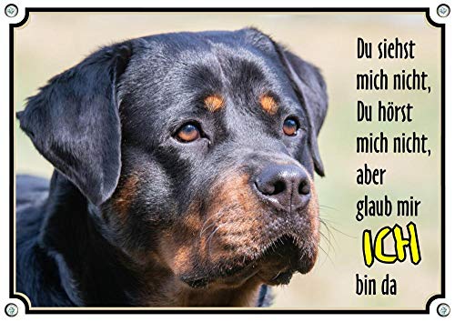 Petsigns Hundeschild - Rottweiler - Warnschild Wachhund - uv-beständiges Metallschild, DIN A3 von Petsigns