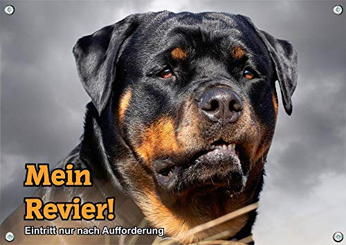 Petsigns Hundeschild - Rottweiler - hochwertiges Metallschild in Fotoqualität, DIN A3 von Petsigns