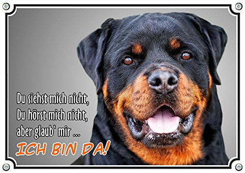 Petsigns Hundeschild - Rottweiler - stabiles Metallschild mit Fotodruck - uv beständig, DIN A4 von Petsigns