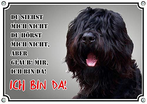 Petsigns Hundeschild - Russischer Schwarzer Terrier - Premiumschild in Fotoqualität, DIN A3 von Petsigns