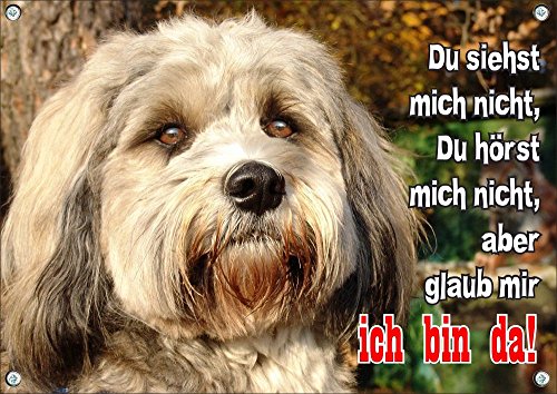 Petsigns Hundeschild - Tibet Terrier - wunderschönes Metallschild - uv-beständig, DIN A5 von Petsigns