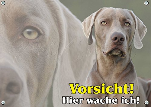 Petsigns Hundeschild - Weimaraner als Collage - 1,5 mm stabile Metallplatte - 1A Qualität, DIN A3 von Petsigns