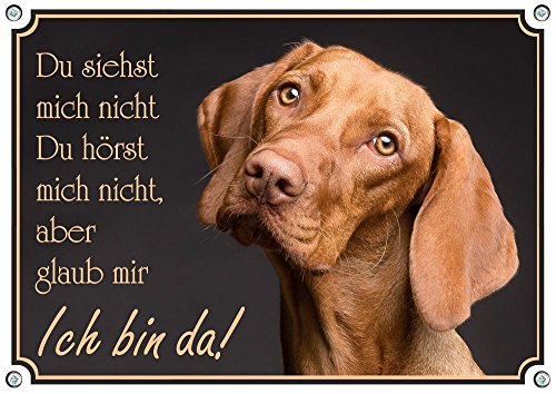 Petsigns Hundeschild aus Metall - Magyar Vizsla - Premiumschild mit Fotodruck, DIN A4 von Petsigns