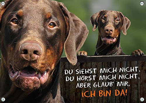 Petsigns Hundeschild brauner Dobermann - professionelles Hundeschild - 1a Qualität, DIN A3 von Petsigns