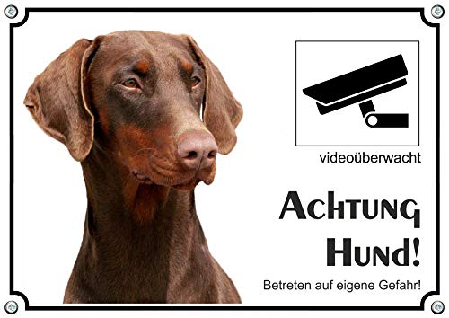 Petsigns Hundeschild - brauner Dobermann - uv-beständig + Videoüberwachung, DIN A4 von Petsigns