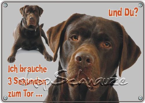 Petsigns Hundeschild brauner Labrador -TOP Metallschild - wetterfest und uv beständig, DIN A5 von Petsigns
