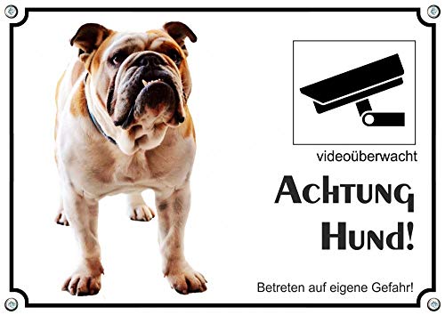 Petsigns Hundeschild englische Bulldogge -uv-beständgies Metallschild mit Videoüberwachung, DIN A4 von Petsigns
