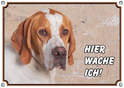 Petsigns Hundeschild mit English Pointer - Warnschild in Fotoqualität - wetterbeständig, DIN A4 von Petsigns