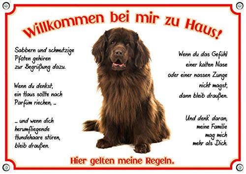 Petsigns Hundeschild mit braunem Neufundländer - WILLKOMMEN - aus rostfreiem Metall, DIN A5 von Petsigns