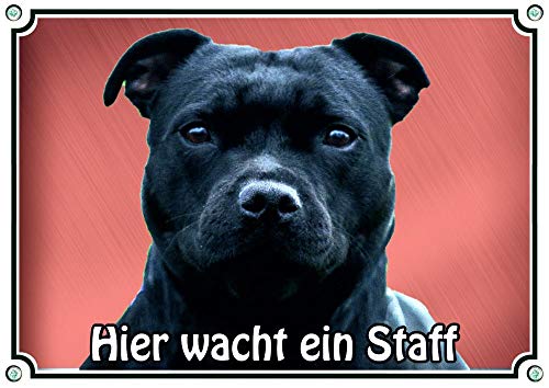 Petsigns Hundeschild mit schwarzem Staffordshire Bullterrier - 'Warnschild Hund vor rotem Hintergrund, DIN A3 von Petsigns