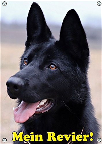 Petsigns Hundeschild schwarzer Deutscher Schäferhund - haltbares Metallschild in 1a Fotoqualität, DIN A4 von Petsigns
