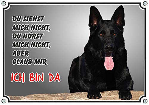 Petsigns Hundeschild - schwarzer Deutscher Schäferhund - wetterbeständiges Metallschild, DIN A3 von Petsigns