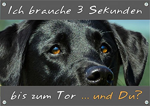Petsigns Hundeschild schwarzer Labrador - hochwertiges Alu Schild - uv beständig, DIN A4 Petsigns Hundeschild schwarzer Labrador - hochwertiges Alu Schild - uv beständig, DIN A4 von Petsigns