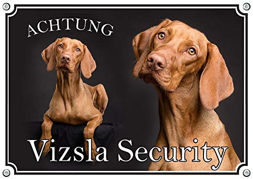 Petsigns Hundeschild vom Magyar Vizsla - uv-beständiges Premiumschild vom ungarischen Jagdhund, DIN A5 von Petsigns