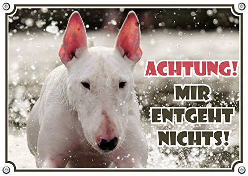 Petsigns Hundeschild weißer Bullterrier - Achtung! Schild Warnschild aus Metall, DIN A5 von Petsigns