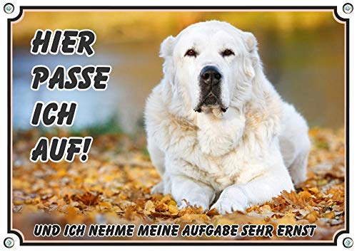 Petsigns Hundeschild zentralasiatischer Owtscharka - Alabai Warnschild in 1A Qualität, DIN A4 von Petsigns