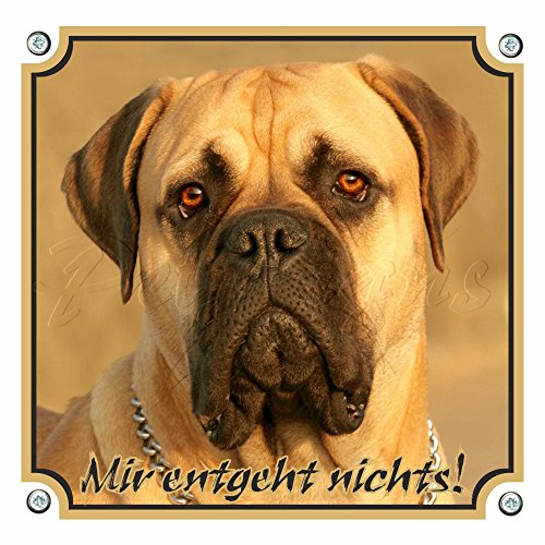 Petsigns Hundewarnschild - Bullmastiff - Mir ENTGEHT Nichts!, 15 x 15 cm von Petsigns