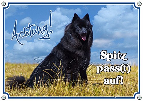 Petsigns Hundewarnschild Großspitz - Spitz Pass(t) auf! stabiles Metallschild - 1A Qualität, DIN A5 von Petsigns