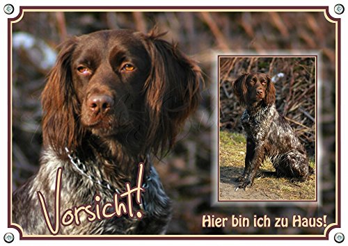 Petsigns Hundewarnschild Kleiner Münsterländer - Metallschild wetterfest und uv beständig, DIN A4 von Petsigns