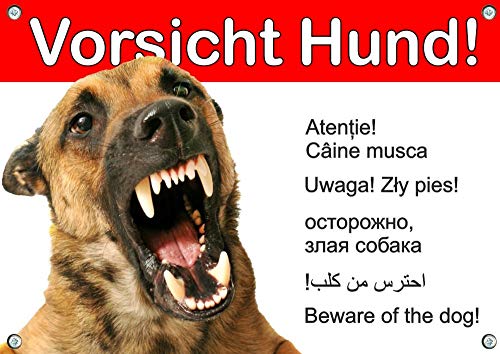 Petsigns Hundewarnschild Malinois - Metallschild - wetterfest, DIN A4 von Petsigns