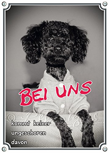 Petsigns Lustiges Hundeschild mit nassem Pudel - Fotoschild - Metallschild, DIN A4 von Petsigns