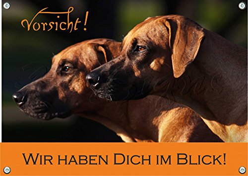 Petsigns Rhodesian Ridgeback - Hundeschild - Warnschild - massives Metallschild, 3. DIN A3 von Petsigns