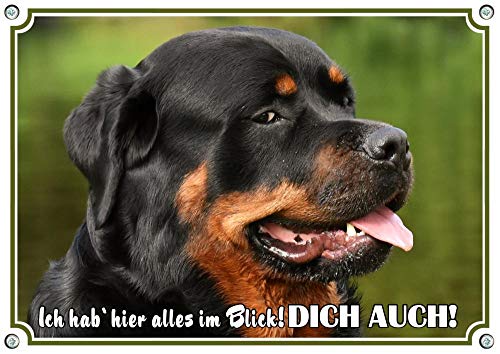 Petsigns Rottweiler Hundeschild Kopf - Metallschild wetterfest und uv beständig, DIN A3 von Petsigns