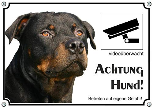 Petsigns Rottweiler - Hundeschild aus Metall - Warnschild mit Videoüberwachung, DIN A3 von Petsigns