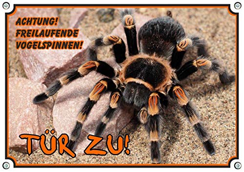 Petsigns Türschild mit Vogelspinne - hochwertiges Metallschild - Warnung Tür zu, DIN A5 von Petsigns