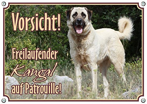 Petsigns Warnschild Anatolischer Hirtenhund Kangal - Metallschild in TOP Qualität - bis DIN A3, DIN A4 von Petsigns