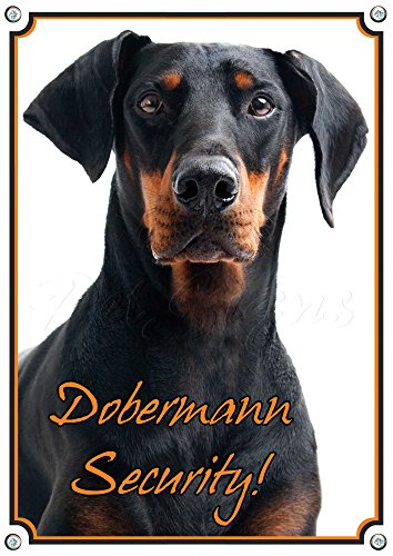Petsigns Warnschild Dobermann - Security! Hundeschild - stabiles Metallschild, DIN A4 von Petsigns